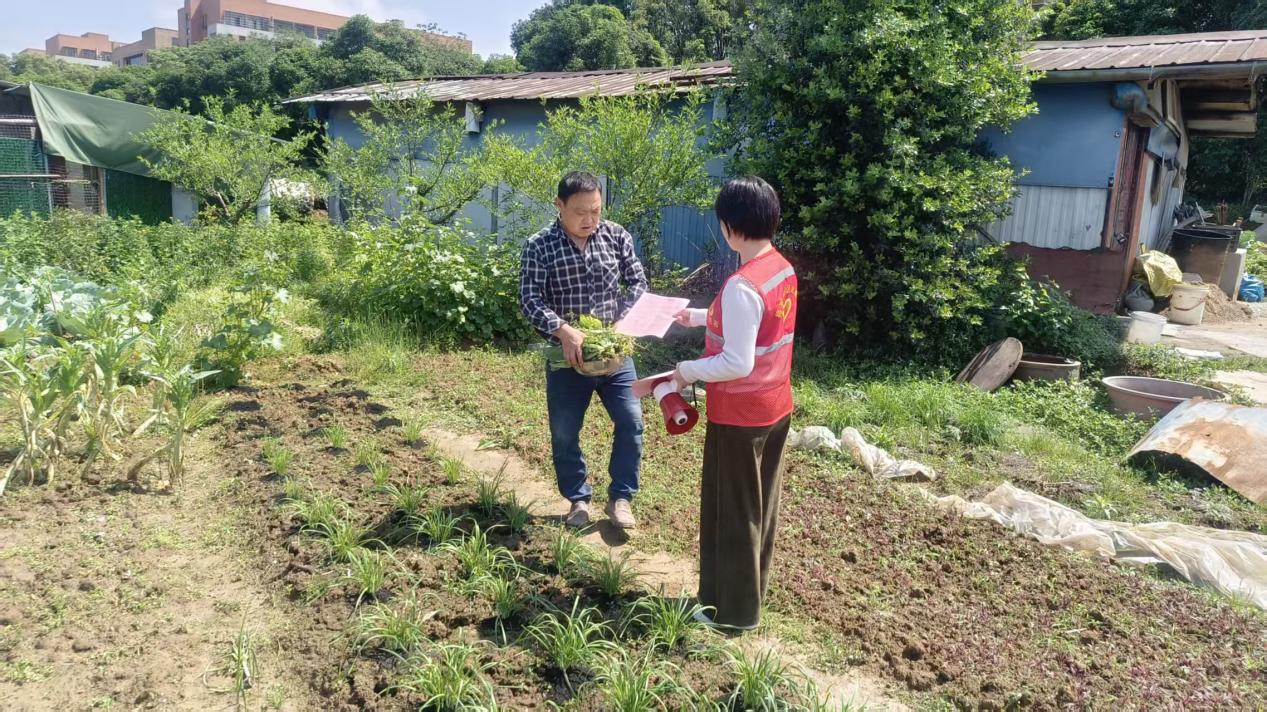“小喇叭”响彻田间地头 承诺书筑牢禁烧防线 ——将军渡社区多措并举开展露天禁烧宣传