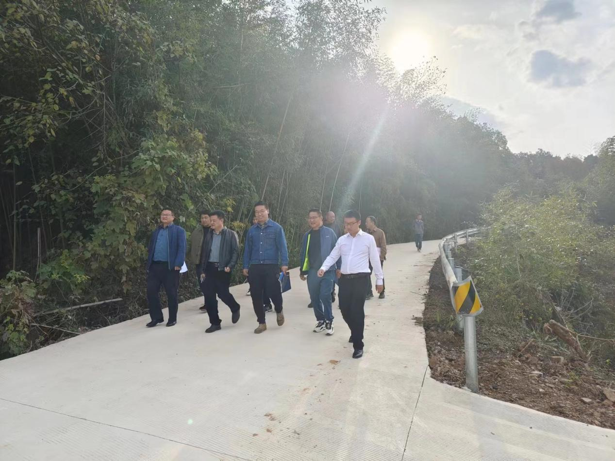 【干在雨湖】桂花村：开展农村道路提质改造，为民生幸福“加码”