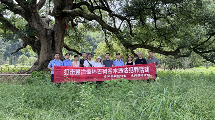 永兴县林业局：开展打击整治破坏古树名木违法犯罪活动“春风2024”专项行动
