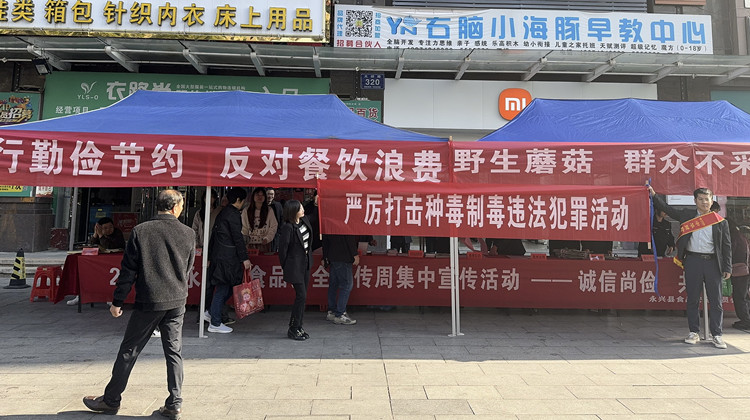永兴县林业局：开展食用林产品质量安全普法宣传