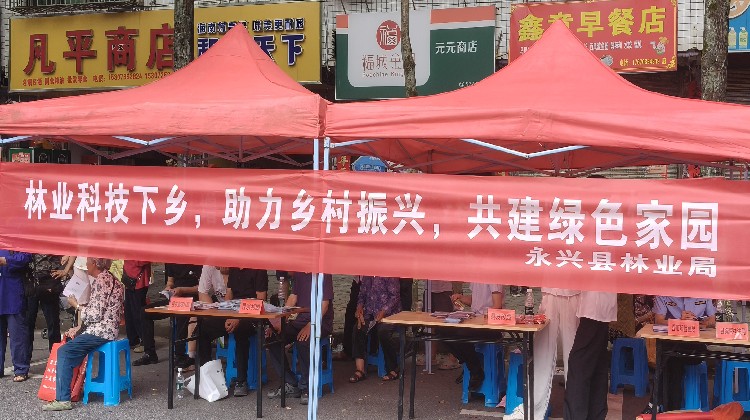 永兴县林业局开展林业科技下乡，助力乡村振兴活动