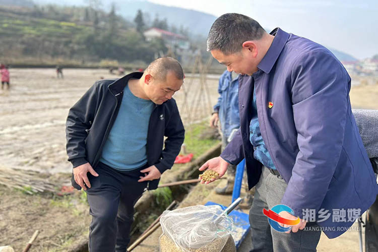 [棋梓镇]春耕正当时 稻田育秧忙