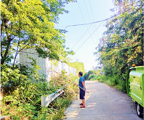 新華村：剪除“樹(shù)線”纏繞  讓村民居有所安