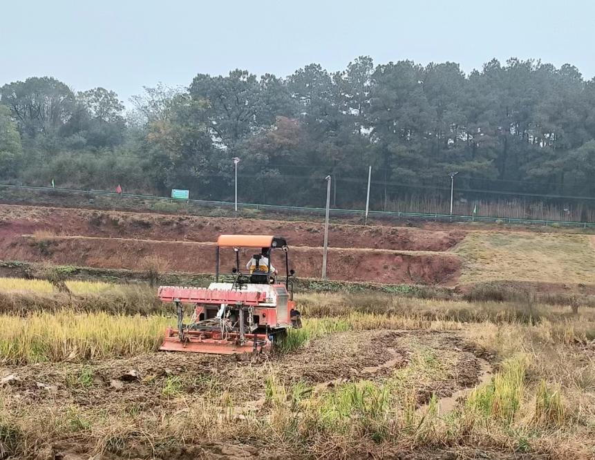 新農(nóng)村：秋收播種正當時 繪就好“豐”景