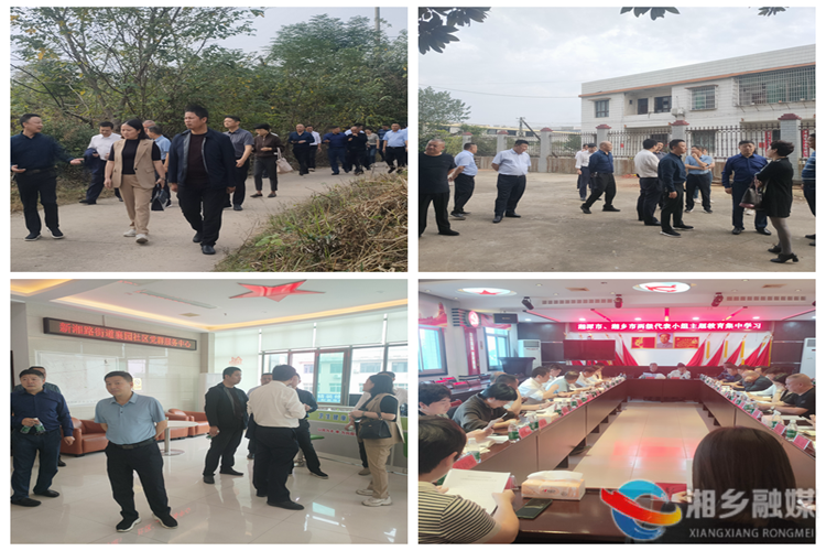 [新湘路街道]人大代表进社区 助力襄园社区建设