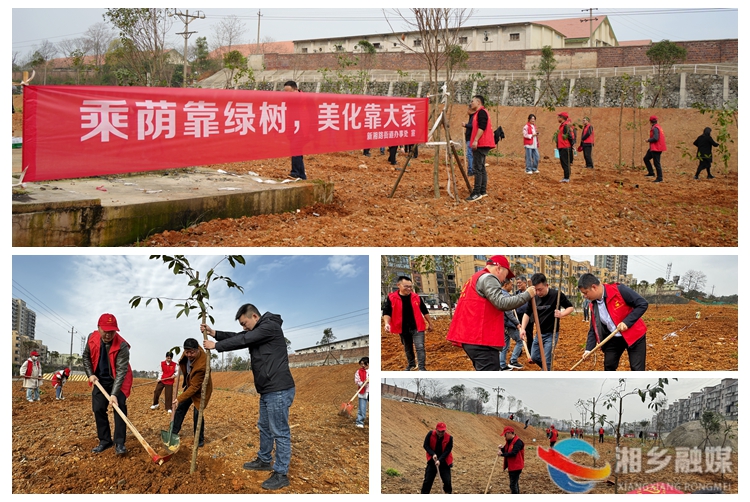 [新湘路街道]“植”此新绿 共建美好家园