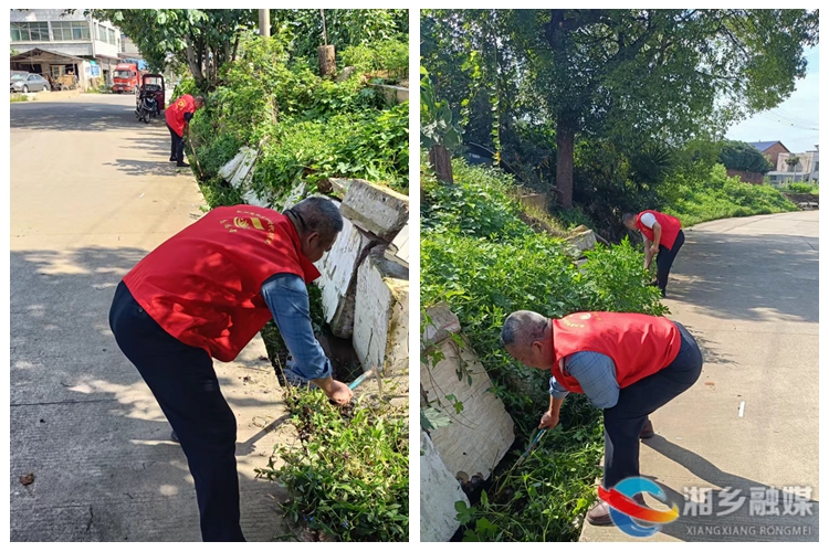 [新湘路街道]聚力环境卫生大整治 打造美丽宜居乡村