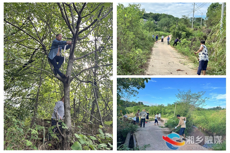 [新湘路街道]清理道路障碍保安全