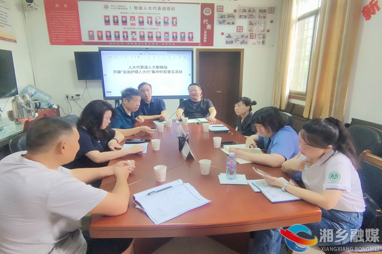 [新湘路街道]法治护绿人大行 代表履职展担当