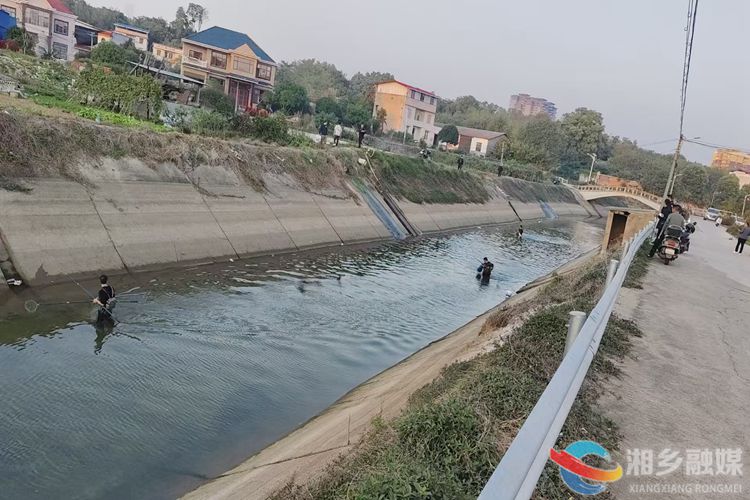 [新湘路街道]监督水治理 情系民生事