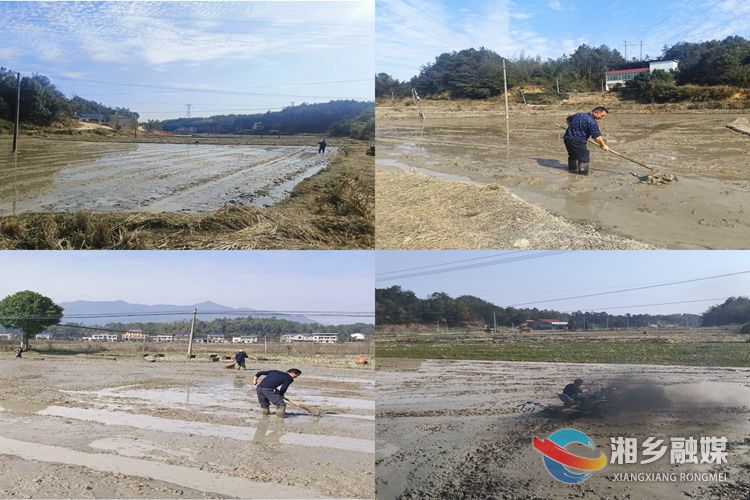 [月山镇]春耕进行时 田间春意浓