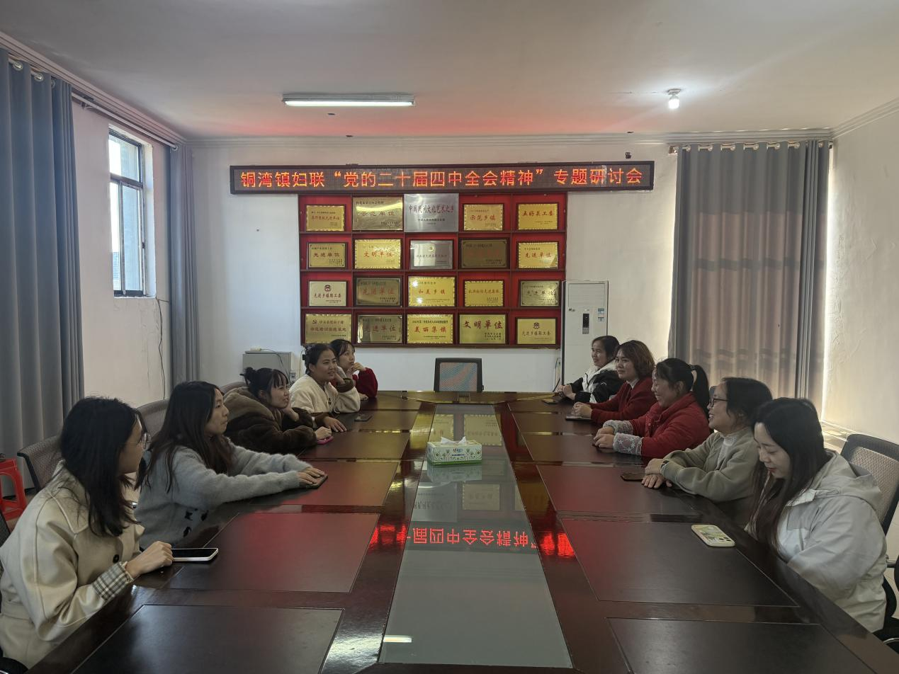 中方县铜湾镇妇联召开党的二十届四中全会精神专题研讨会