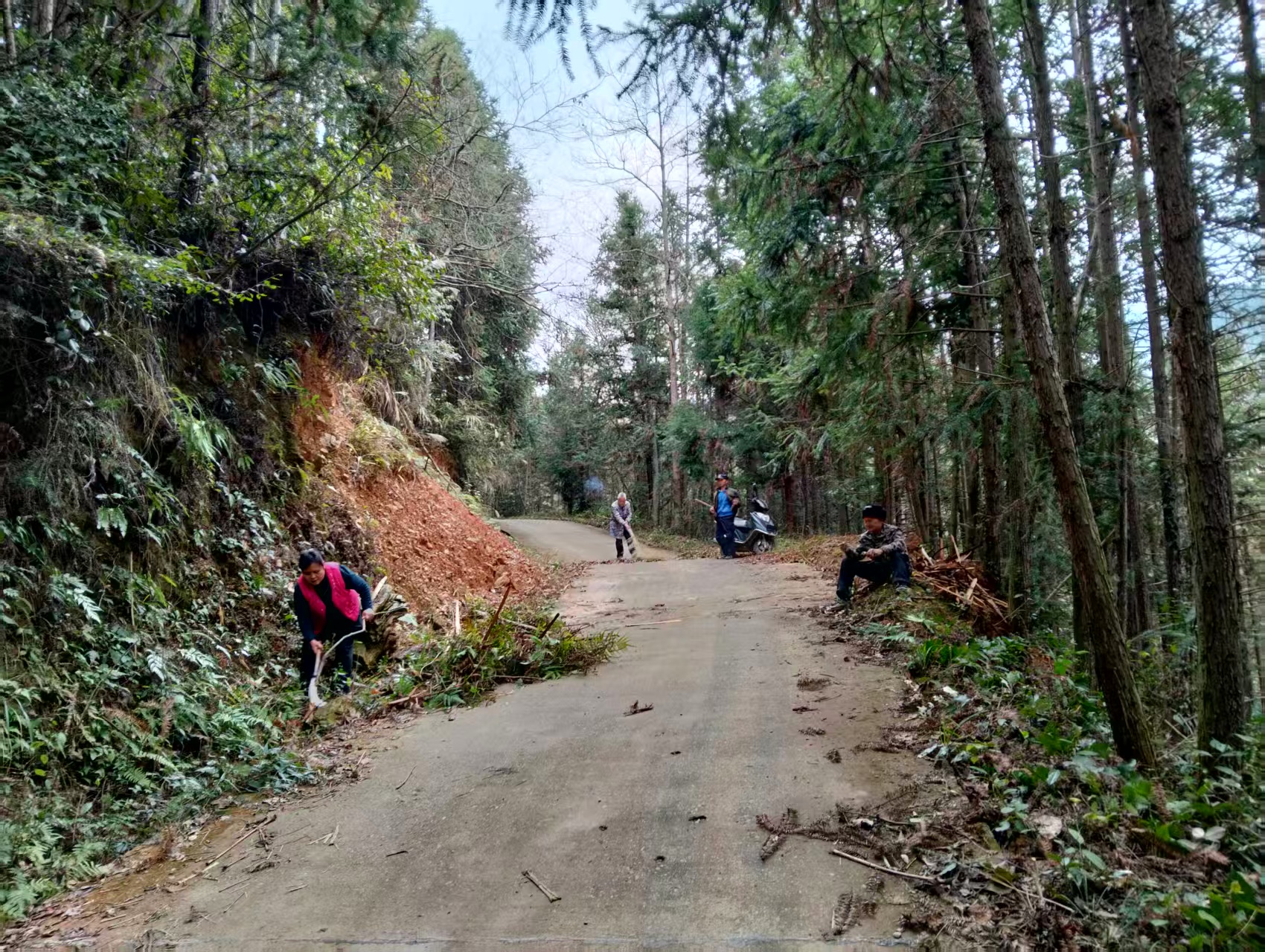 中方县铜湾镇丁家村：干群齐心清路障  “三长”联动迎新春