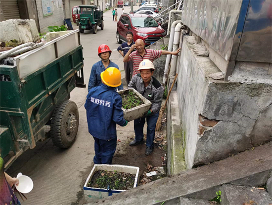 黨建領航 紅旗社區(qū)“三微治理”服務居民零距離