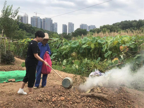 助力藍(lán)天保衛(wèi)戰(zhàn) 寶塔社區(qū)多舉措開展秸稈禁燒行動(dòng)