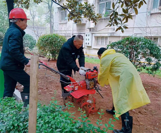 長塘社區(qū)：植樹添綠正當時