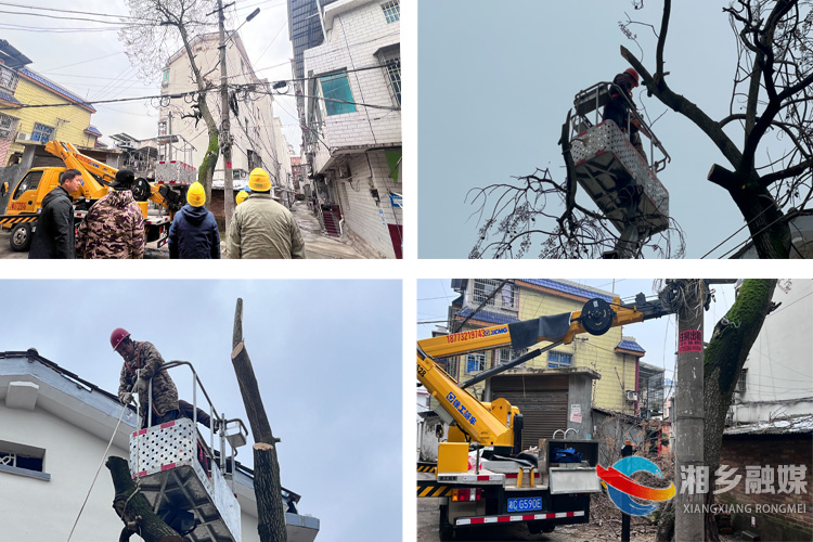 [望春门街道]清除枯树隐患 守护百姓安全