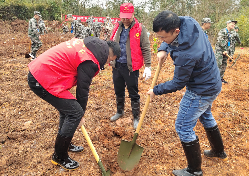 黄沙湾街道：青石村开展“军地同植双拥树，共叙军民鱼水情”植树活动