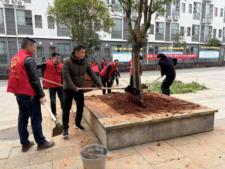 黄沙湾街道开展“植绿添新景，共筑绿色家园”植树活动
