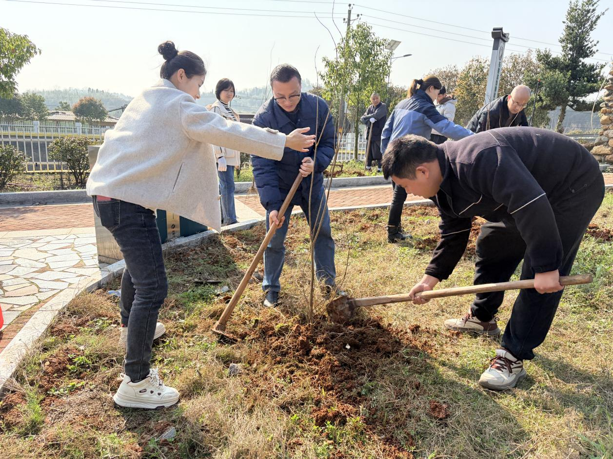 植绿添彩促团结 同心共建美乡村——黄沙湾街道松木村联合石鼓区民宗局开展植树节活动