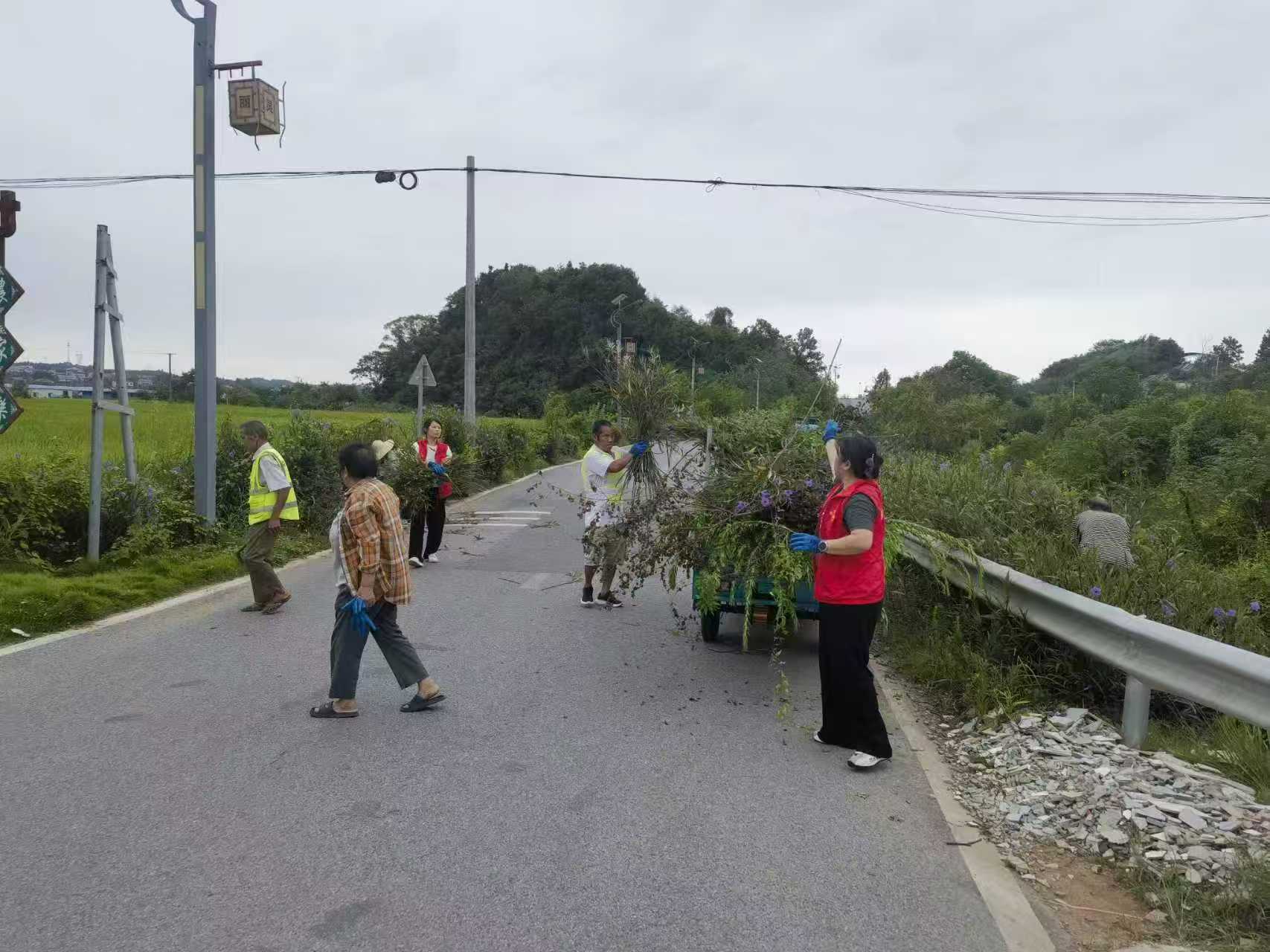 清理道路杂草隐患 守护群众出行安全——黄沙湾街道灵官庙村开展专项整治行动