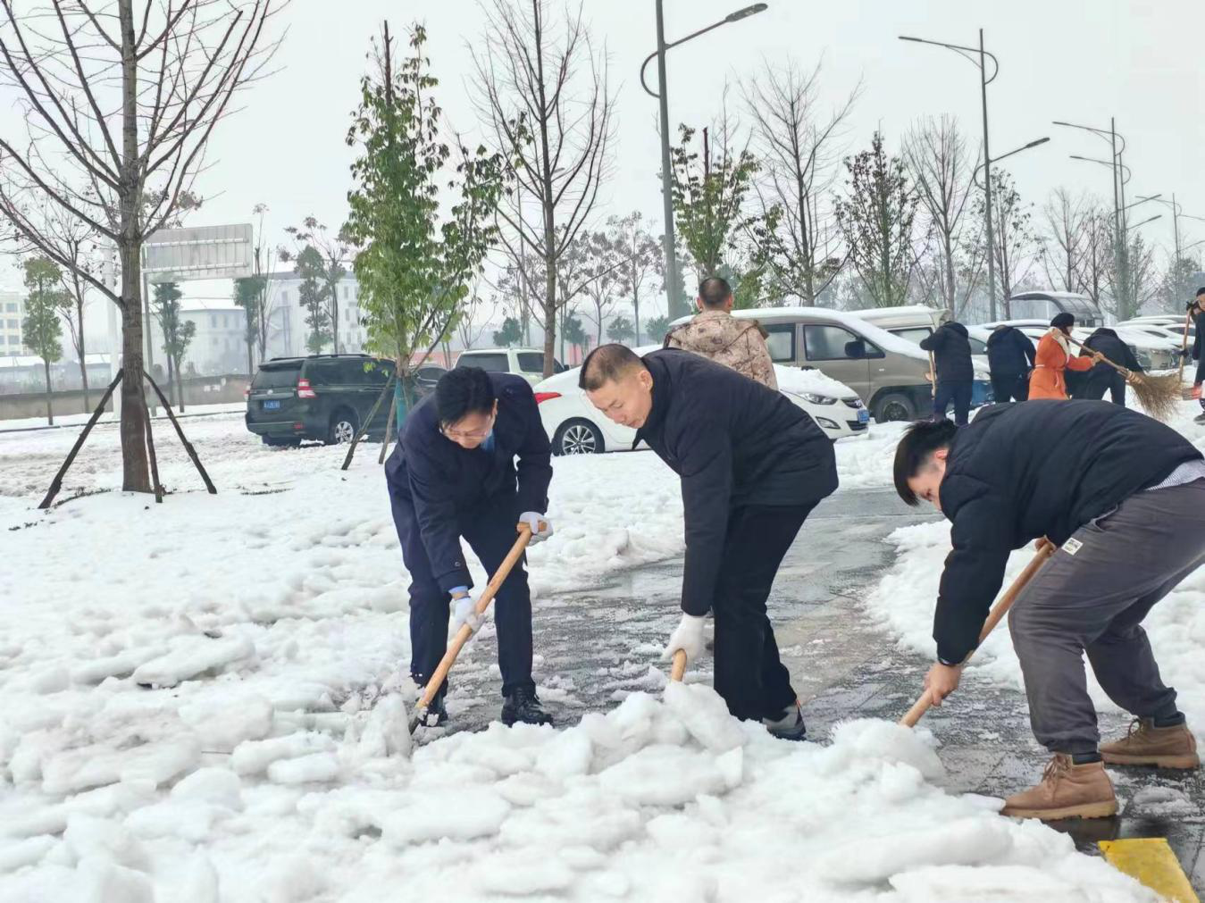 区自然资源局组织干部职工铲雪除冰保畅通