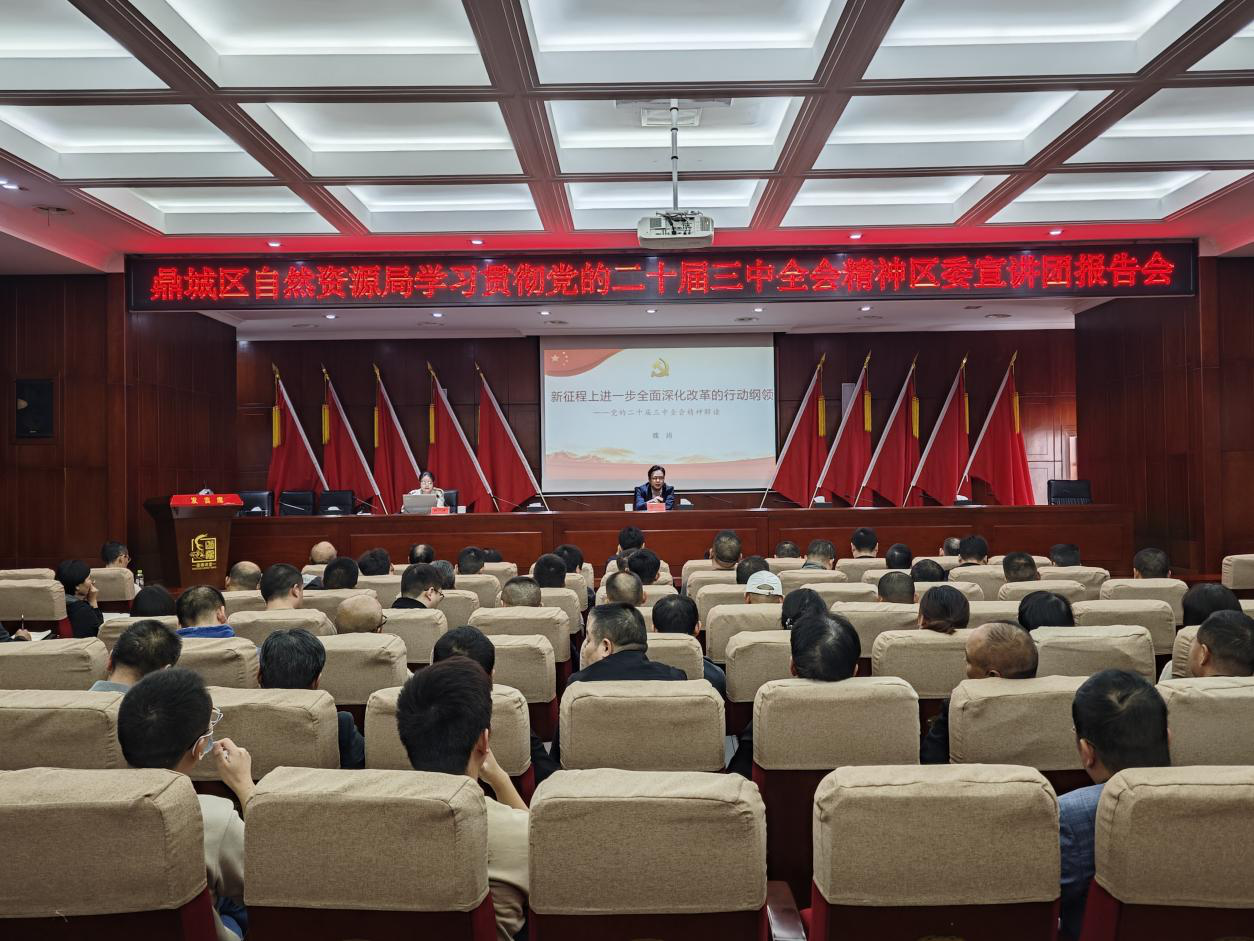 区自然资源局：召开学习贯彻党的二十届三中全会精神区委宣讲团报告会