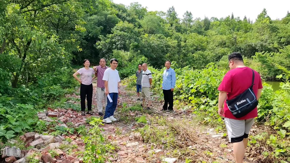 大忠桥镇：全流程闭环监管 筑牢乡村振兴资金“安全堤”
