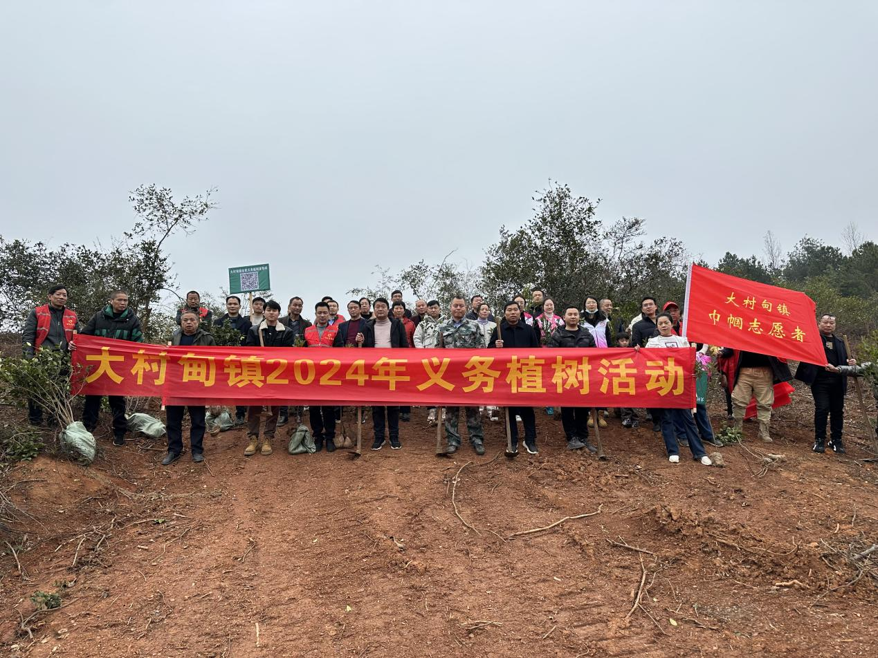 祁阳大村甸镇：义务植树添新绿 乡村振兴增活力