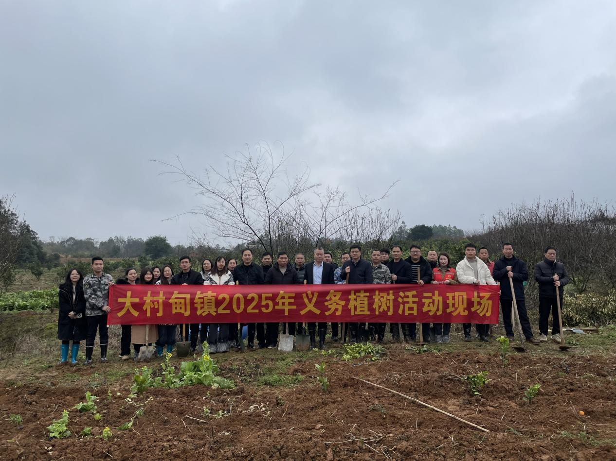 祁阳大村甸镇：植树添新绿 共绘生态新画卷