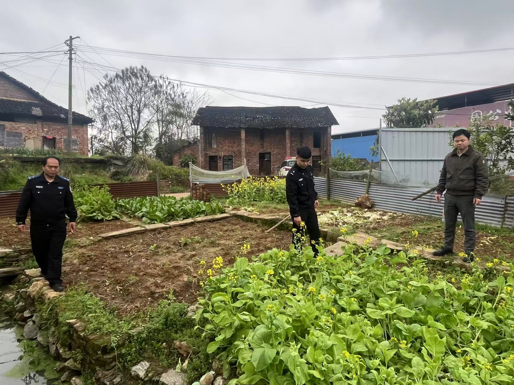 大村甸镇：踏查宣传齐发力 筑牢“无毒”防线