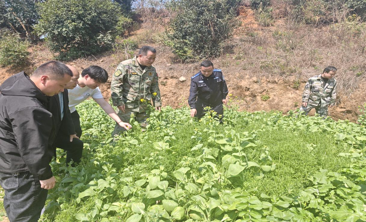 三方联动齐发力 深山踏查守净土