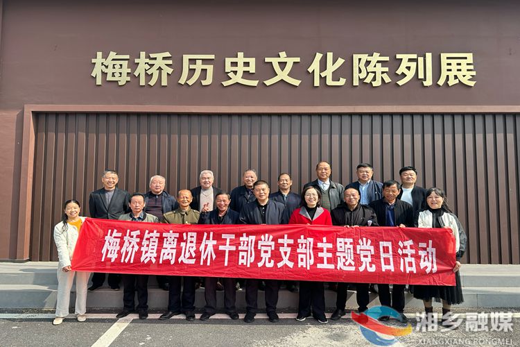 [梅桥镇]“三维”赋能银龄先锋 激活基层治理“一池春水”