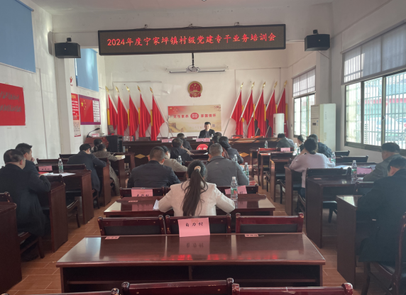 宁家坪镇：党务培训促提升 夯实党建强根基