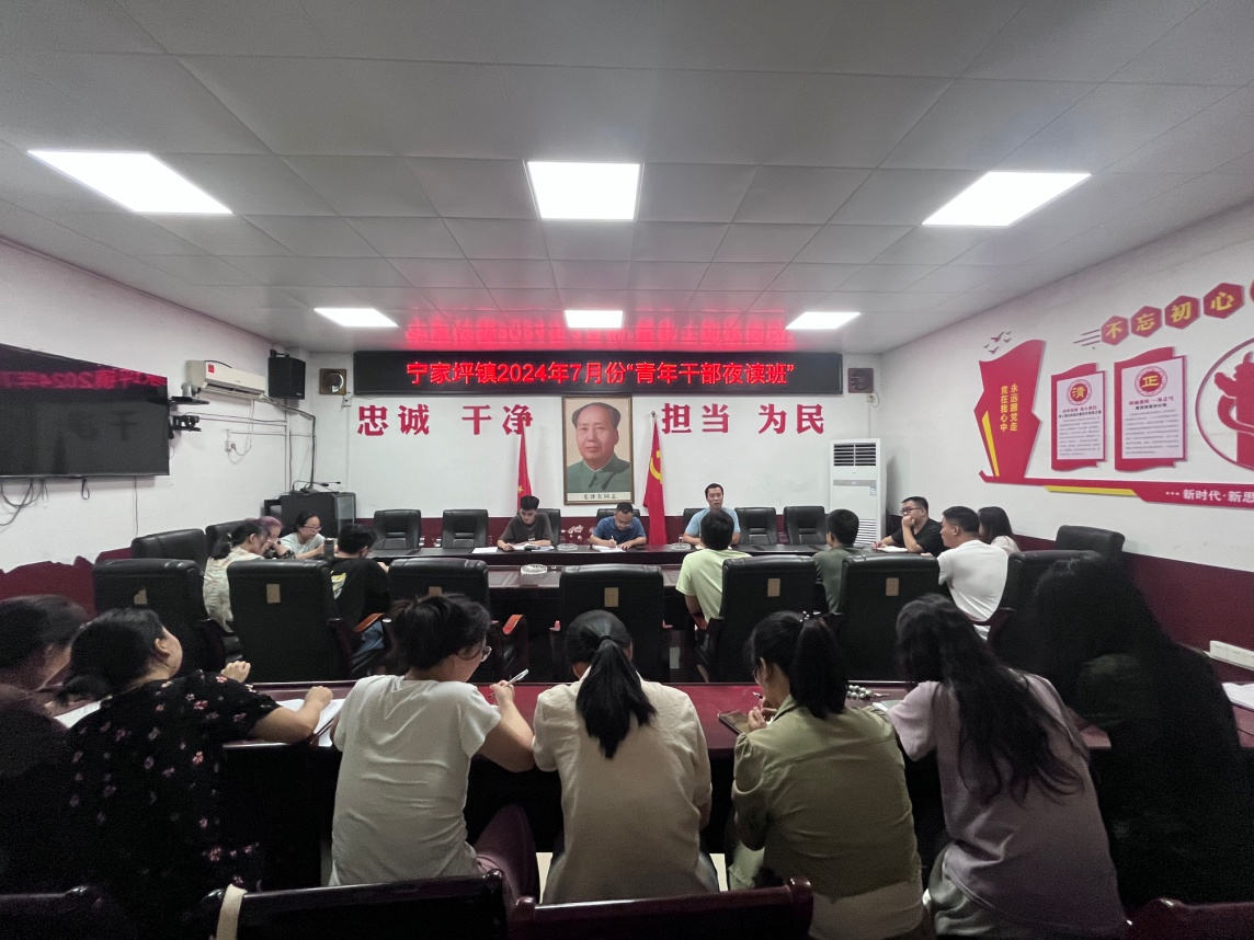 宁家坪镇：青年干部夜读班学习“三资”管理业务