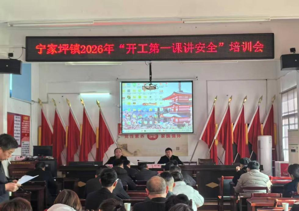 宁家坪镇召开“开工第一课讲安全”专题培训会