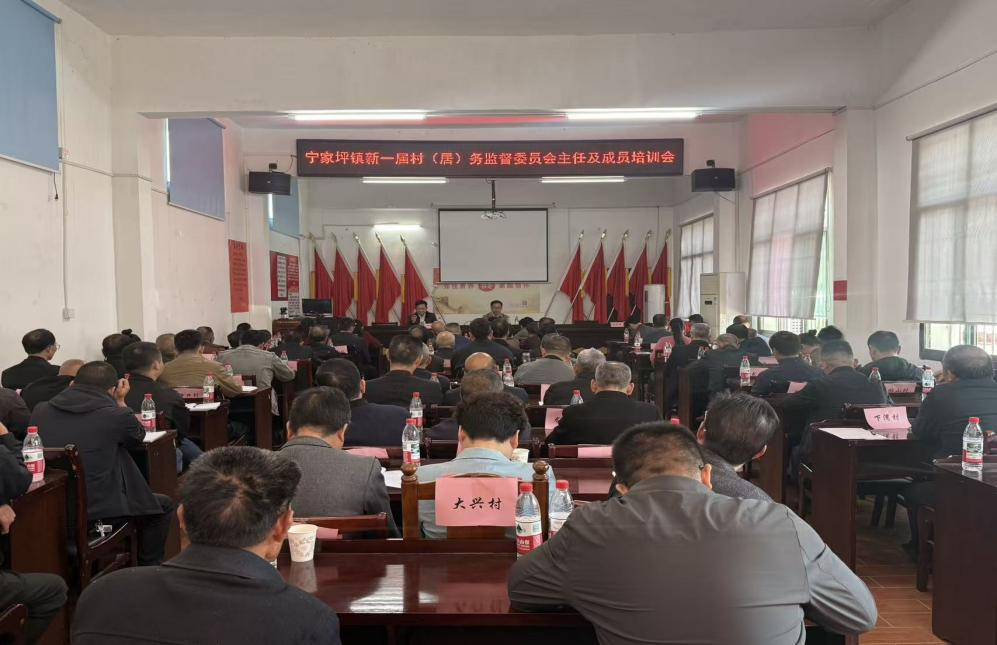 宁家坪镇：凝心聚力 聚势赋能 以监督之“实”筑牢治理之基