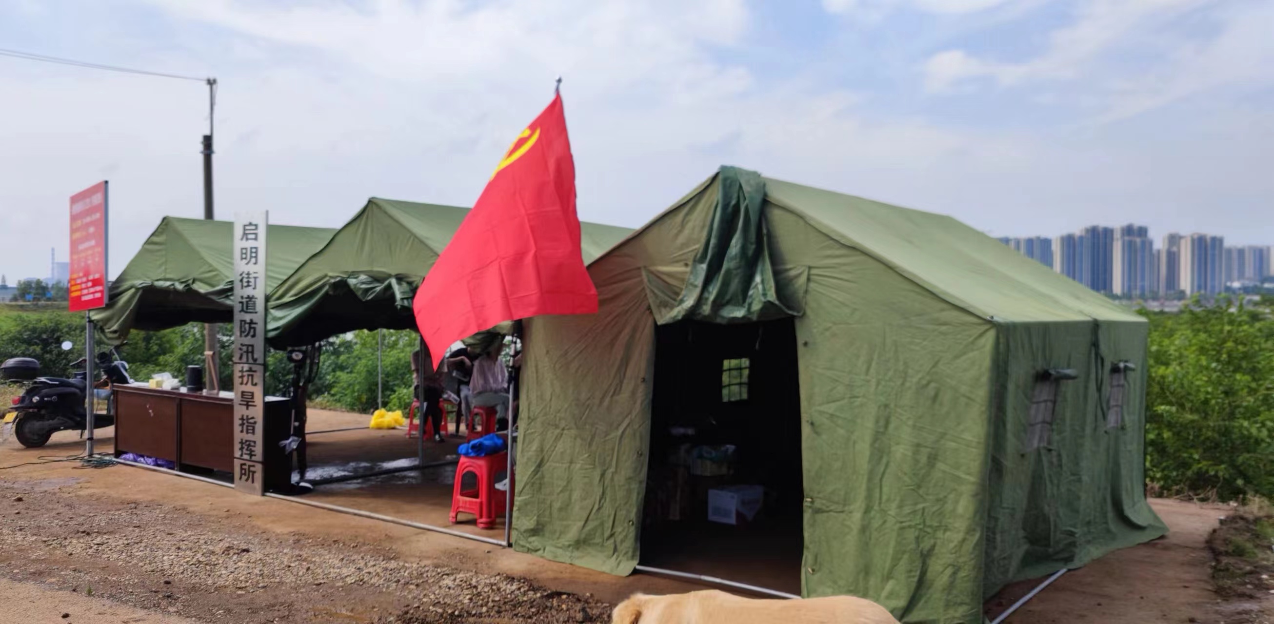 启明街道：让党旗在防汛一线高高飘扬