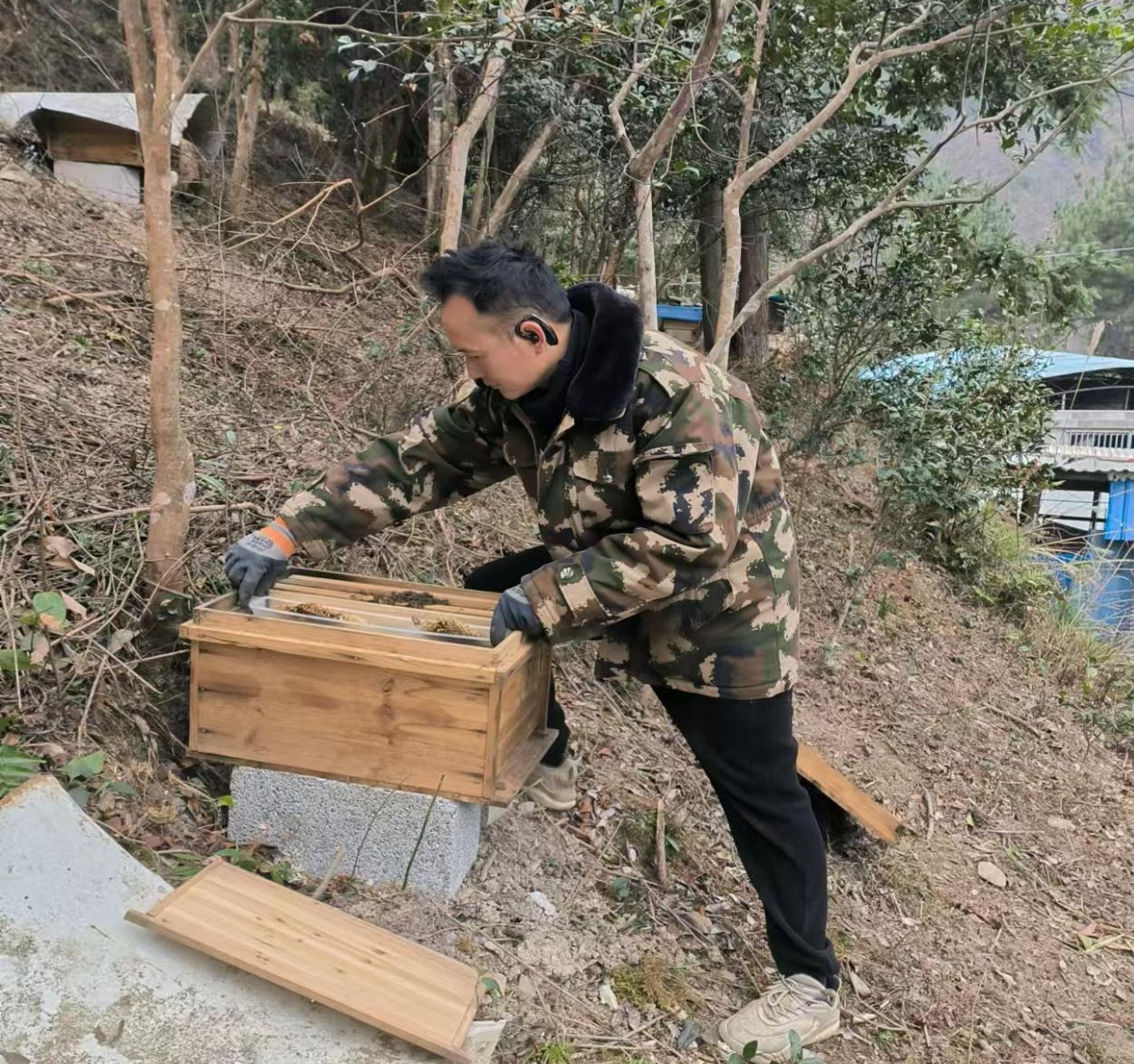 采得百花成蜜后，为谁辛苦为谁甜 ——冲“蜂”乡村振兴的排头兵
