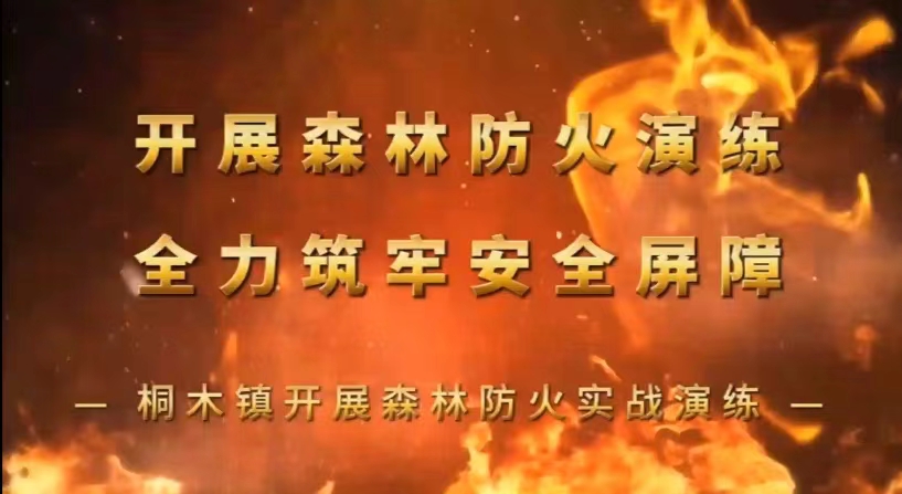 视频|中方县桐木镇：开展森林防火演练 全力筑牢安全保障