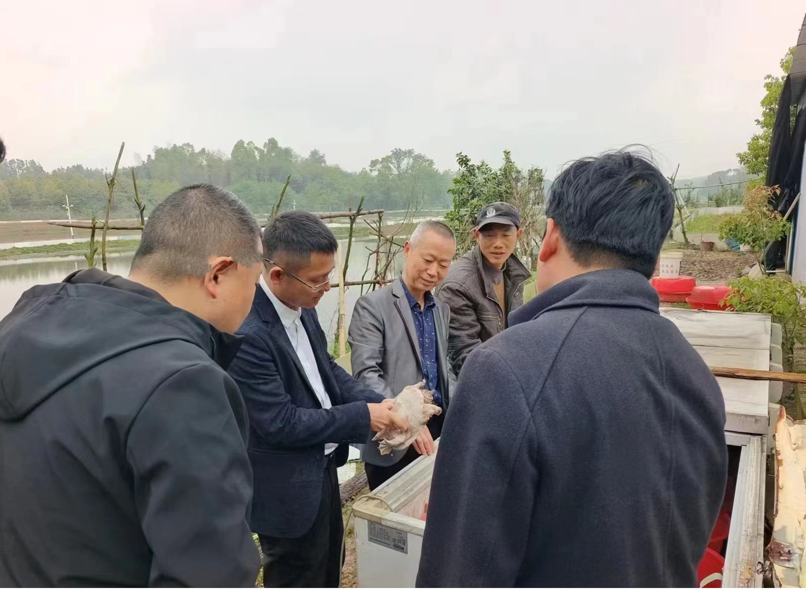 汉寿县特种水产科学研究所：开展生态养殖技术宣传 助力汉寿甲鱼健康发展