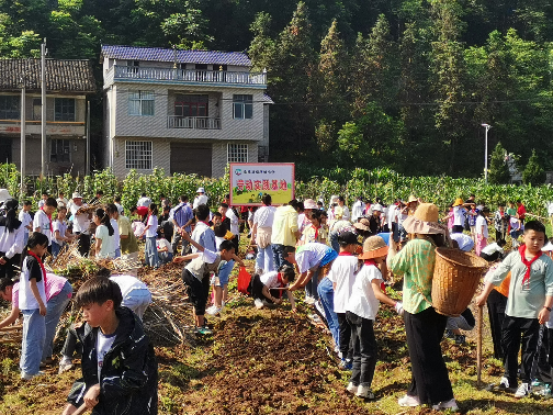 瑞塔铺小学开展劳动实践活动