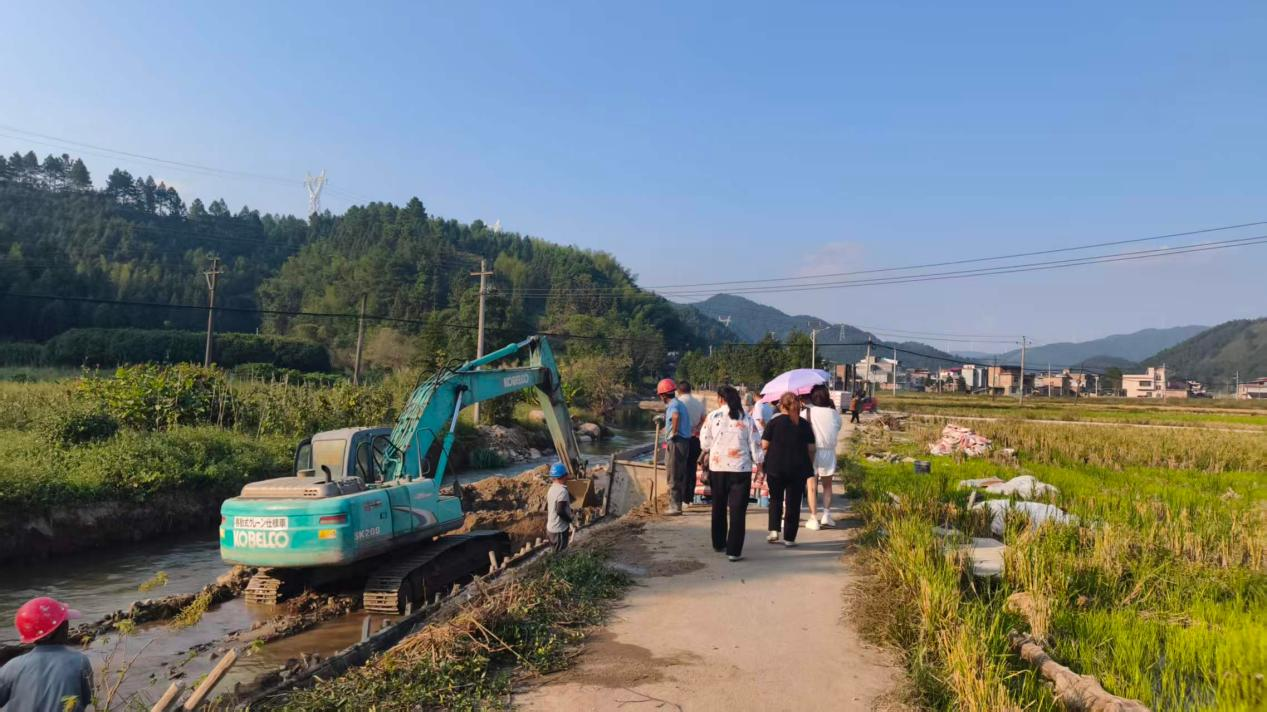 大桥瑶族乡：履职察实情 监督赋能促提升