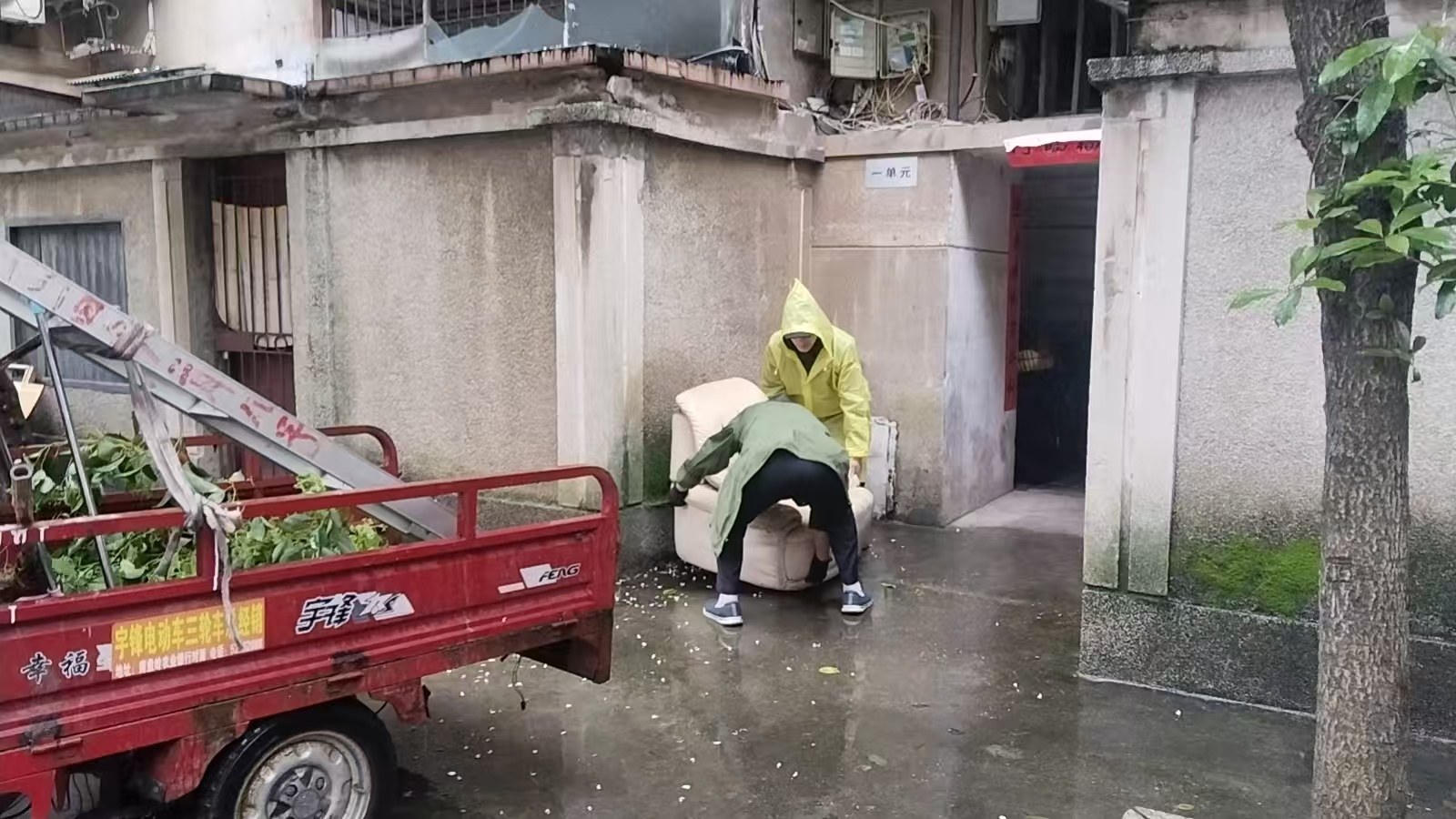 金心共治——葩金社區(qū)清理死角除“四害” 繪就轄區(qū)健康新底色