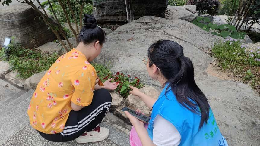 中方：自然疗愈+温情互动，精康群体共绘心灵暖阳