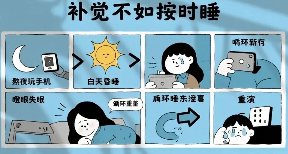 熬夜与补觉
