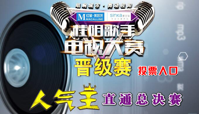 桂阳歌手电视大赛晋级赛投票