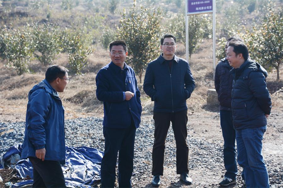 黄力调研农业综合开发项目建设情况