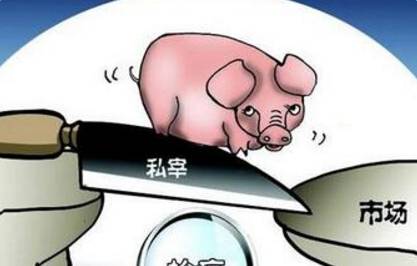 守护舌尖上的安全：桂阳销毁5头病死生猪