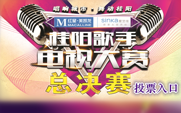 桂阳歌手电视大赛总决赛投票